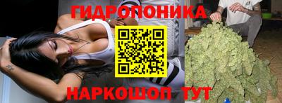 прущие крисы Среднеуральск