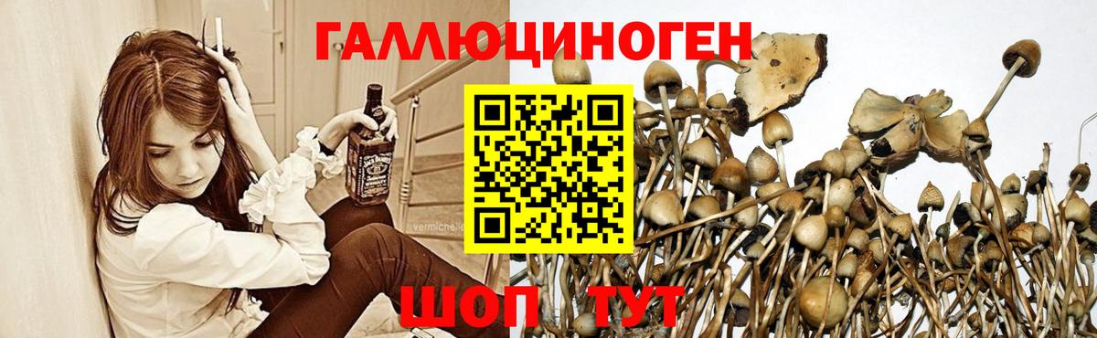 Омск  Псилоцибиновые грибы GOLDEN TEACHER  Вход с VPN  Псилоцибиновые грибы ЛСД 